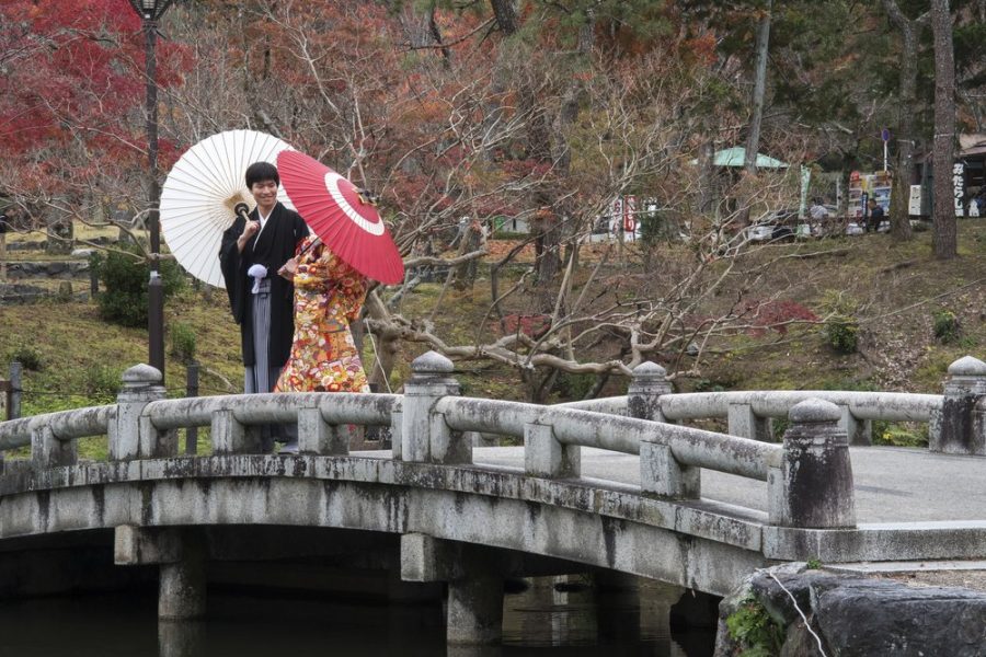 momijigari